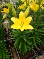 [5050 Nashville No01.JPG]